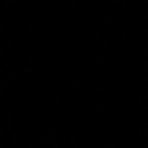 Meet your Posher, Kamryn